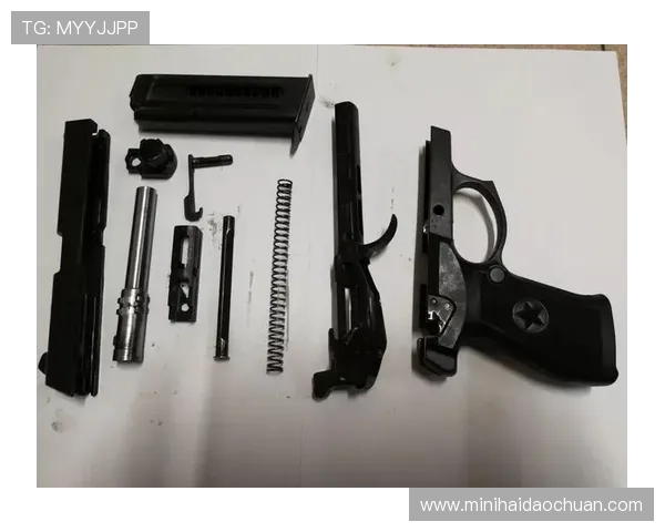 从实战需求出发全面提升射击训练科学化系统化水平的心得体会新篇